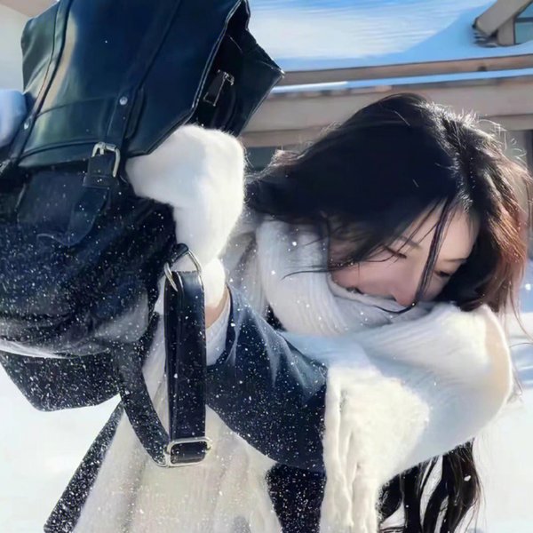 公主变形记